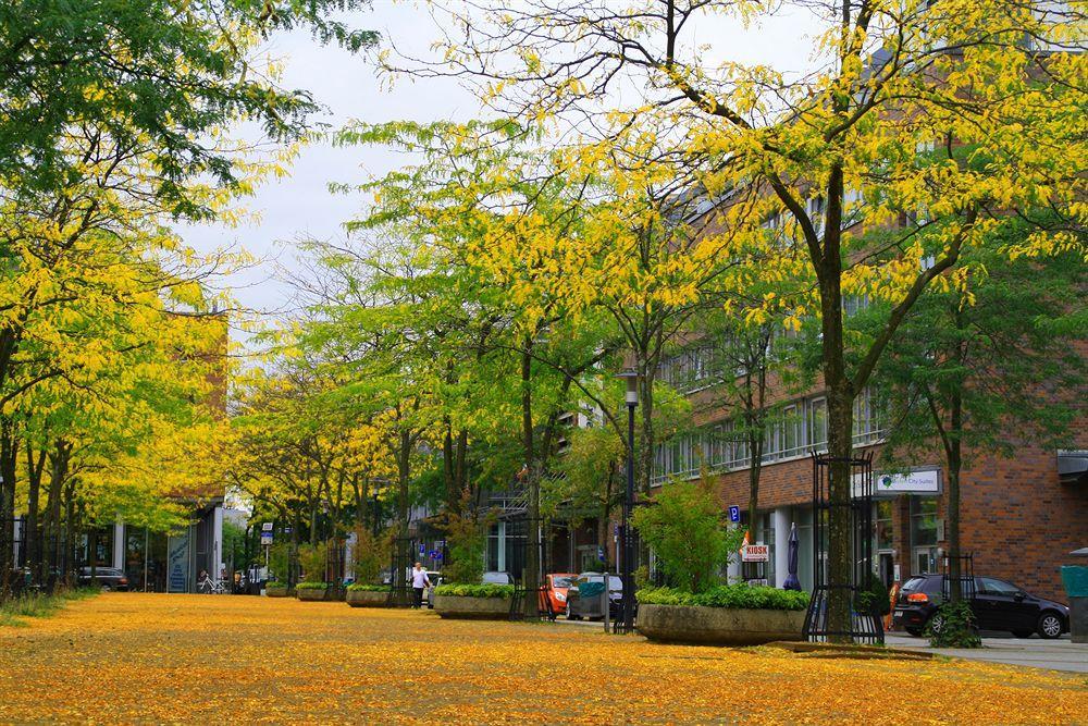 Essen City Suites Luaran gambar